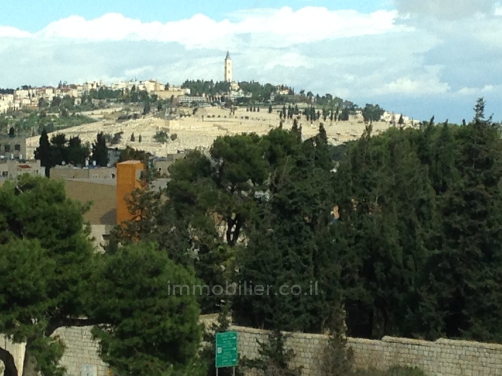 Apartment 4 rooms Jerusalem Baka 144-IBL-519