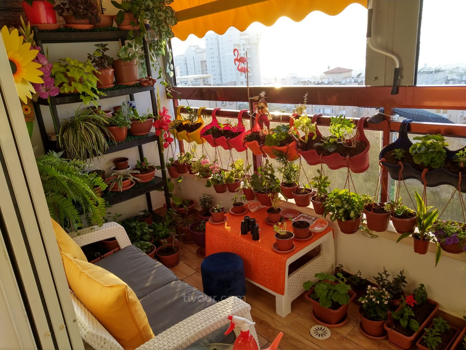 Appartement 5 pi&egrave;ces  Ashdod Yud Alef 210-IBL-1959