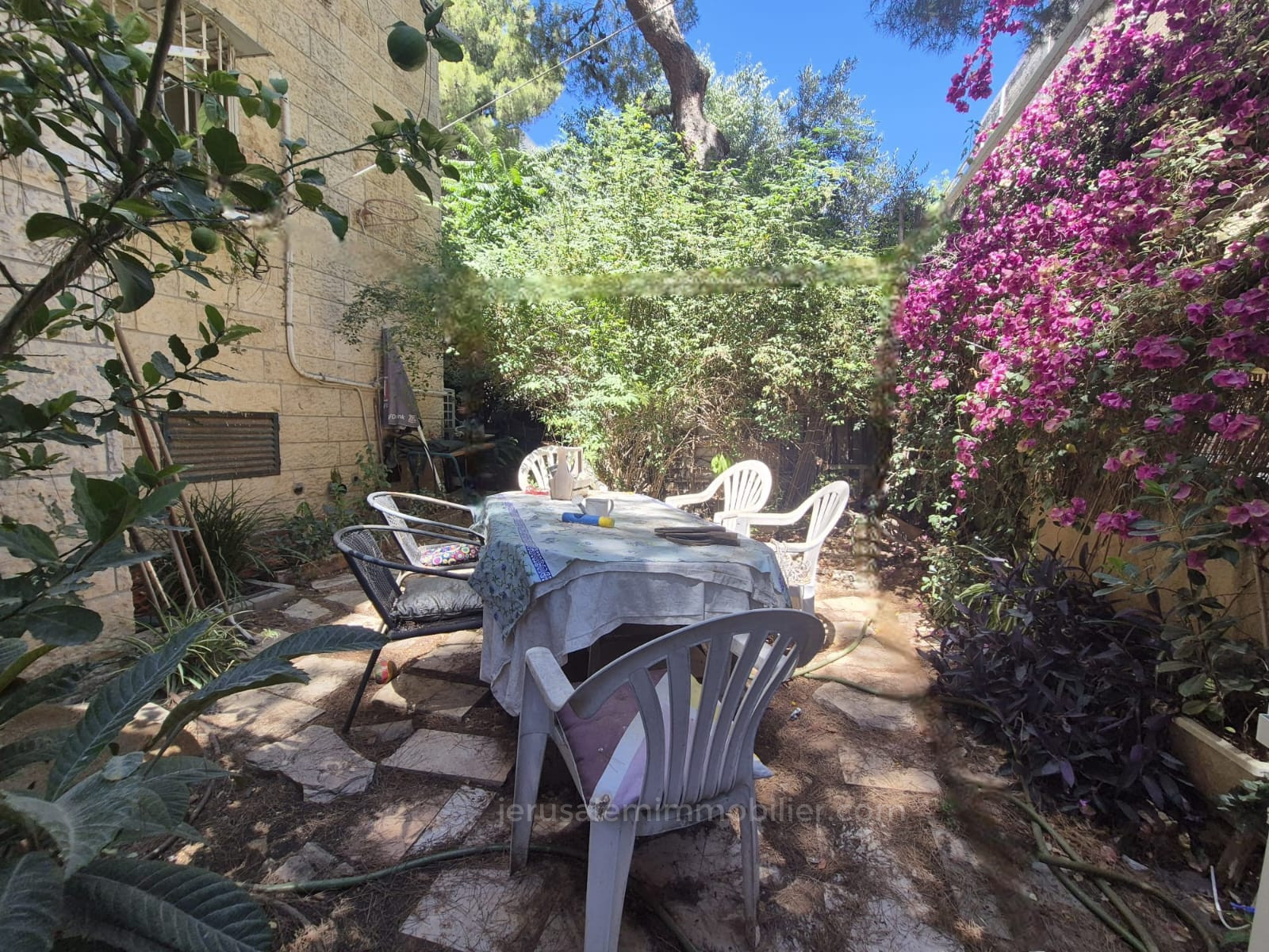 Ground floor 4 rooms Jerusalem Arnona 226-IBL-1895