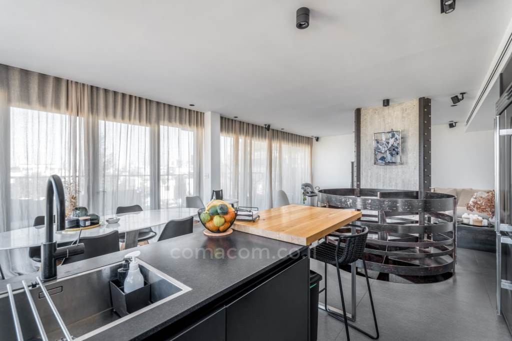 Duplex-Penthouse 5 rooms Tel Aviv Shenkin 342-IBL-6210