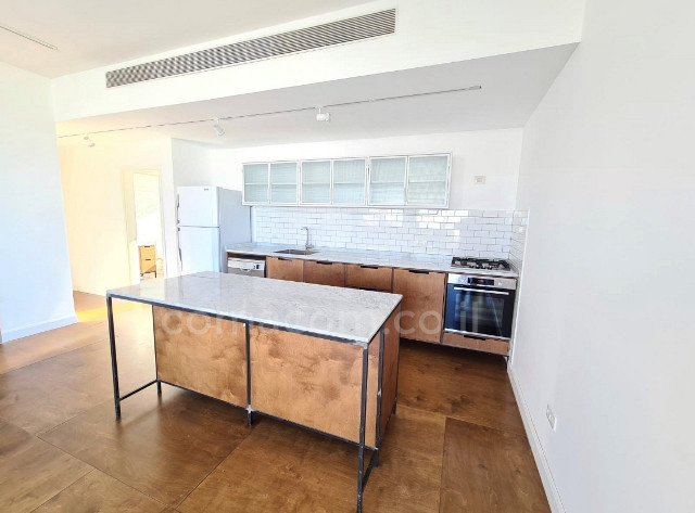 Penthouse 4 pièces  Tel Aviv Florentine 342-IBL-6436