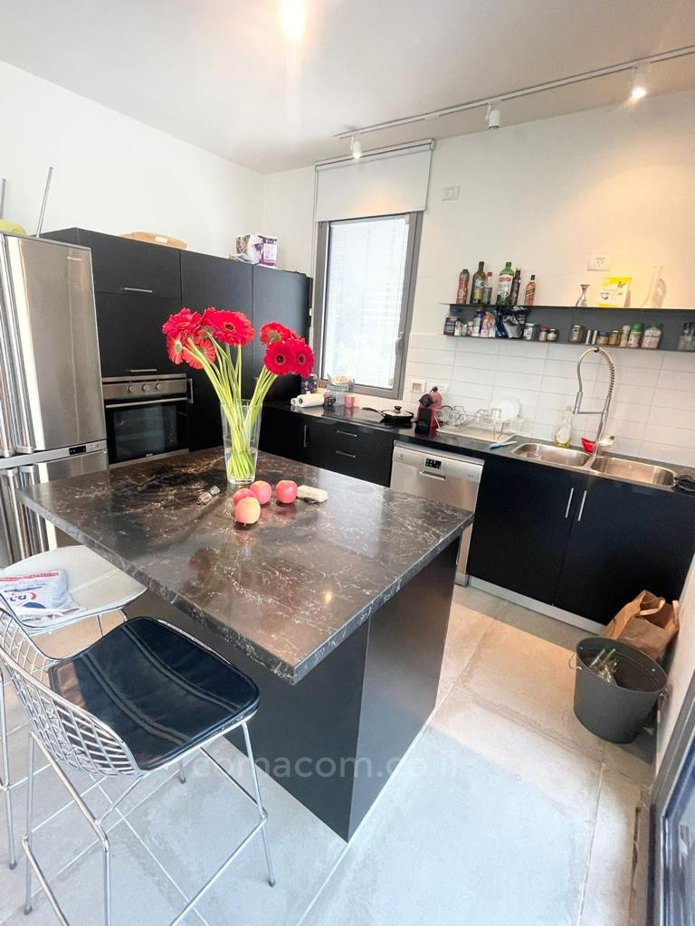 Appartement 3 pièces  Tel Aviv Lev Tel-Aviv 342-IBL-6590