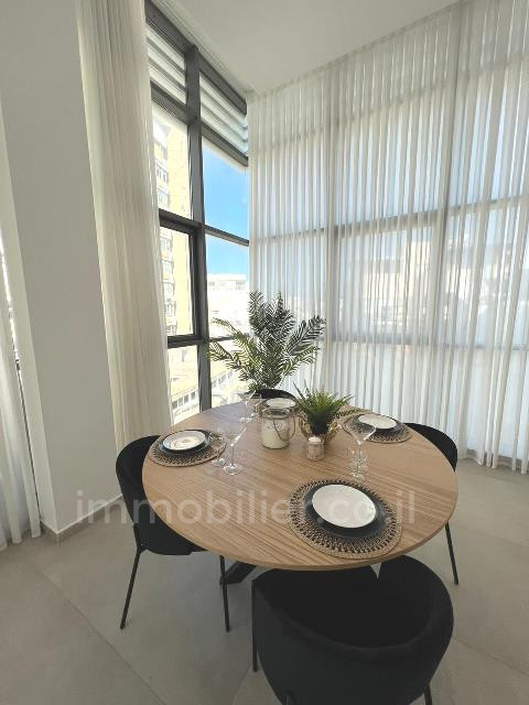 Duplex-Penthouse 4 pièces  Tel Aviv Centre Ville 342-IBL-6743