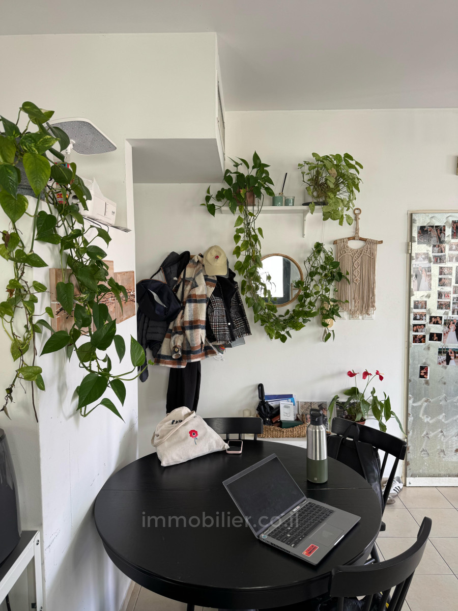 Mini-Penthouse 3 rooms Tel Aviv Lev Tel-Aviv 457-IBL-1471