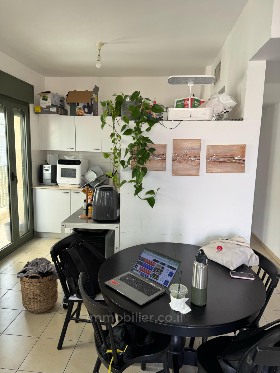 Mini-Penthouse 3 rooms Tel Aviv Lev Tel-Aviv 457-IBL-1471