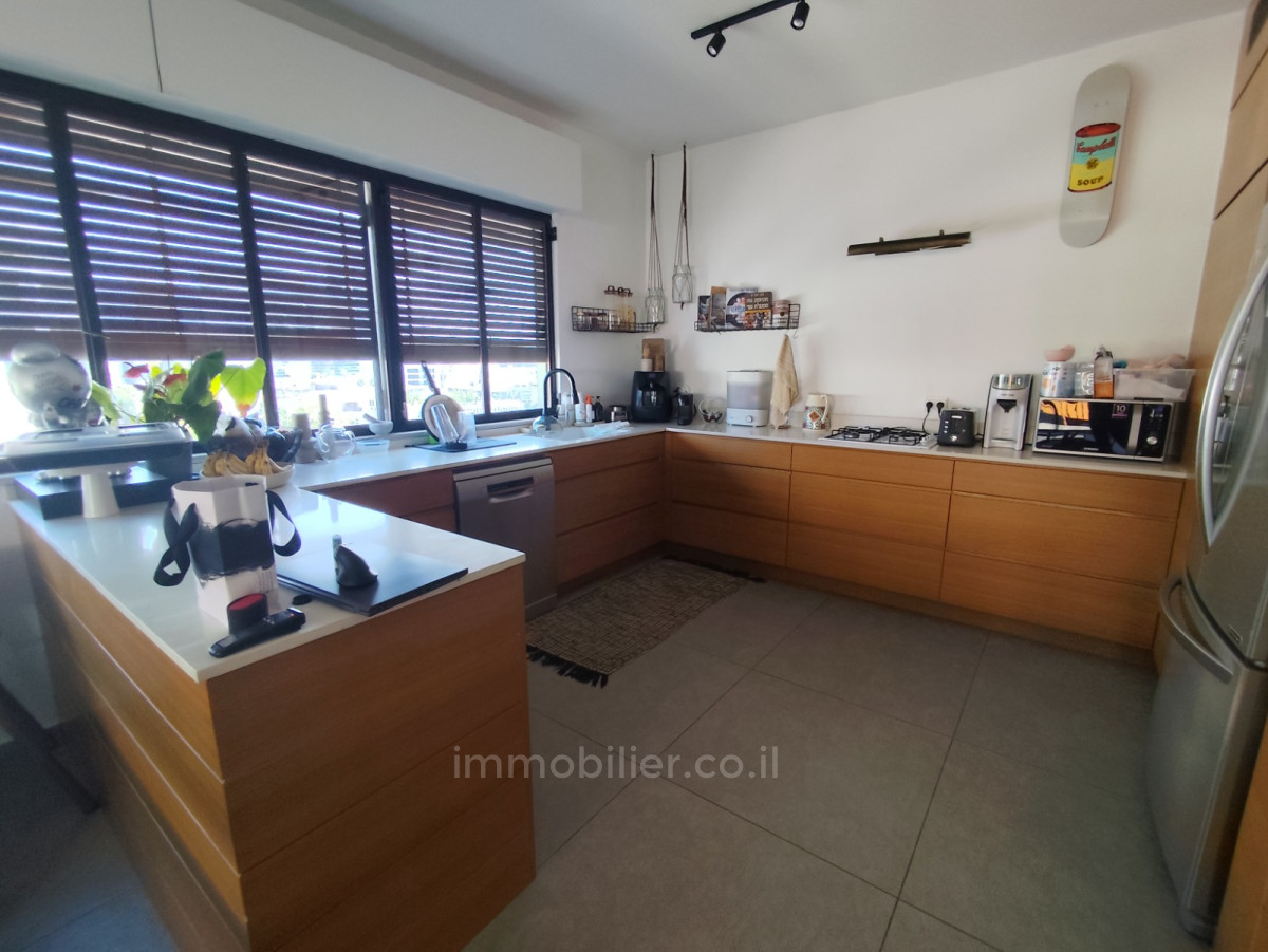 Penthouse 4 pièces  Tel Aviv Rothshild 457-IBL-1476
