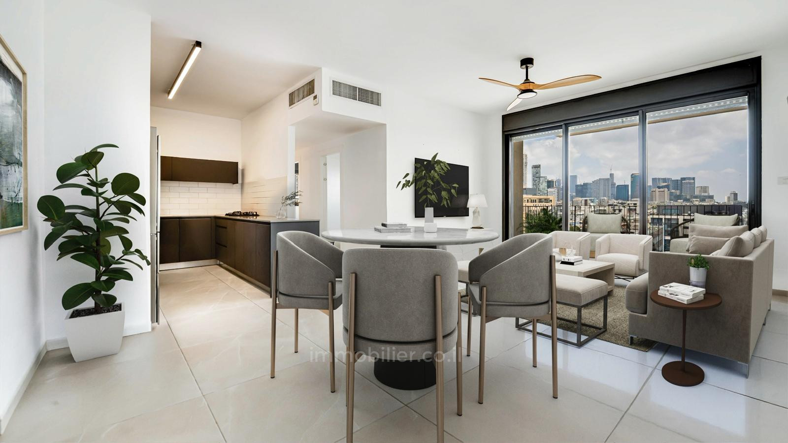 Appartement 4 pièces  Tel Aviv Florentine 457-IBL-1493