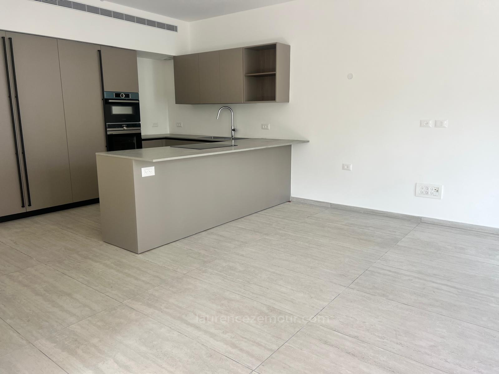 Appartement 5 pi&egrave;ces  Tel Aviv Kikar Hamedina 60-IBL-1478