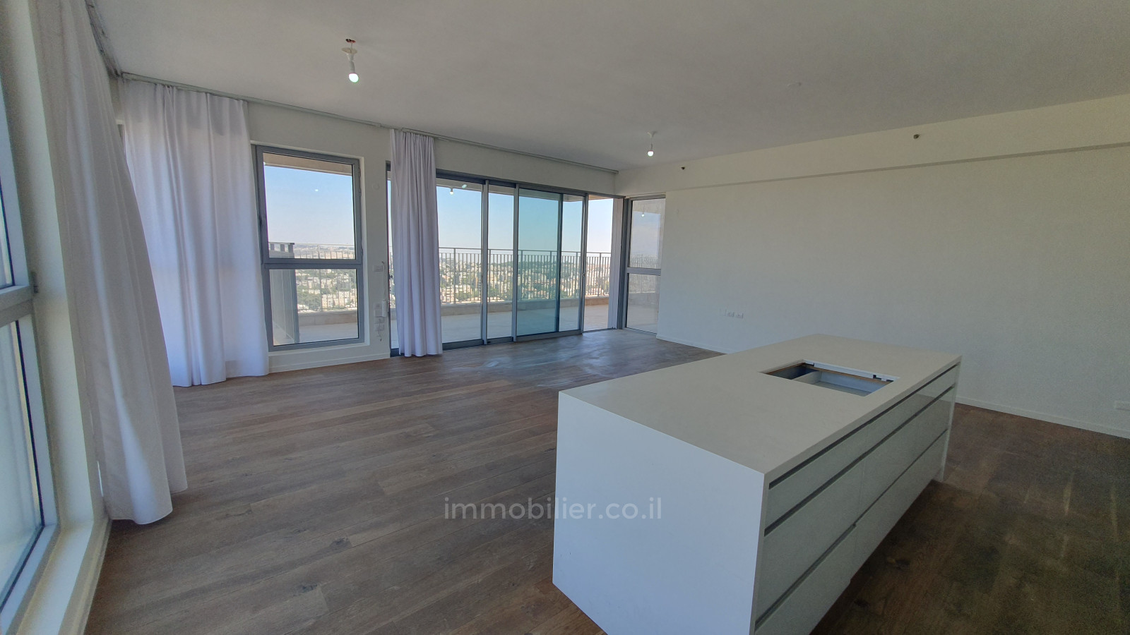 Penthouse 5 rooms Jerusalem Arnona 642-IBL-42