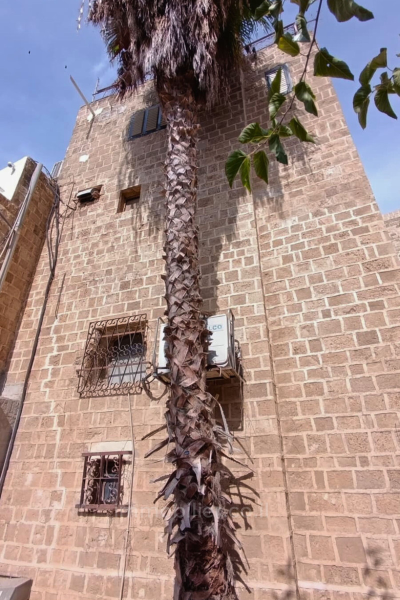 Cottage 3 pi&egrave;ces  Tel Aviv Yaffo vieille ville 651-IBL-75