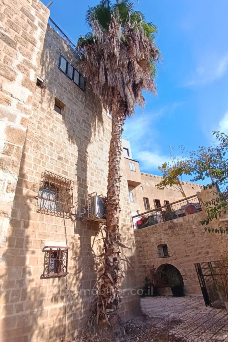 Cottage 3 pi&egrave;ces  Tel Aviv Yaffo vieille ville 651-IBL-75