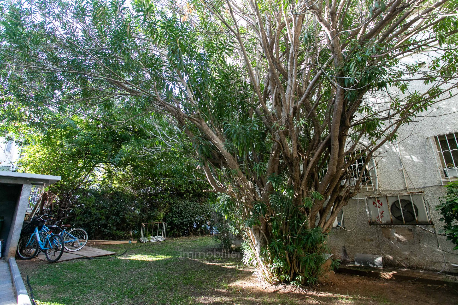 Apartment 3 rooms Tel Aviv Hatsafon hayachan 804-IBL-79