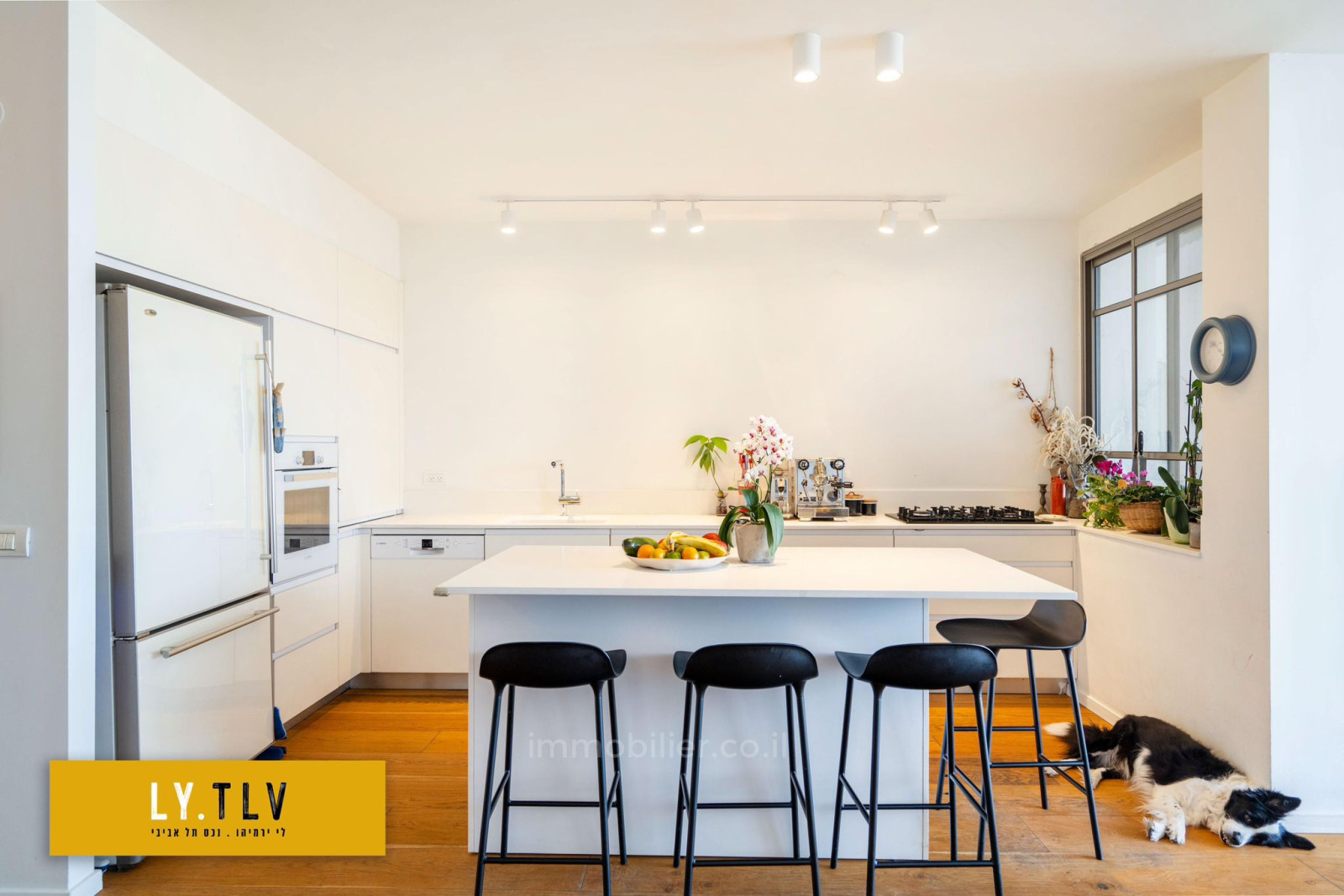 Appartement 4 pi&egrave;ces  Tel Aviv Yehouda hamakaby 804-IBL-97