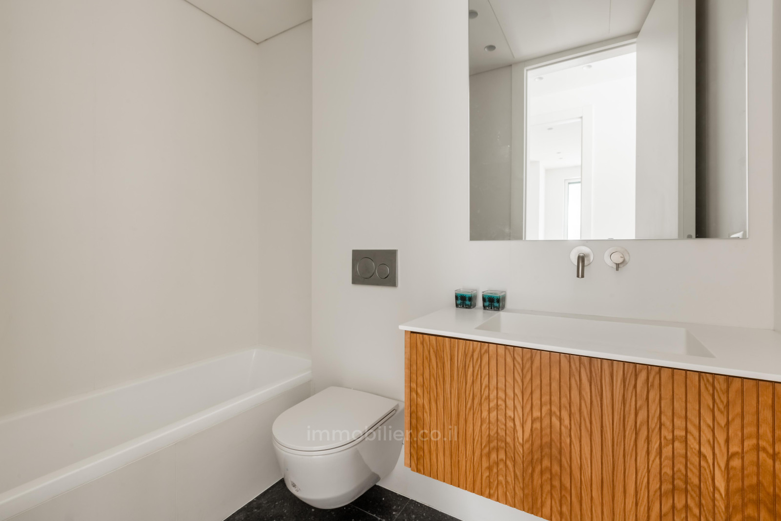 Apartment 3 rooms Tel Aviv Rothshild 828-IBL-25