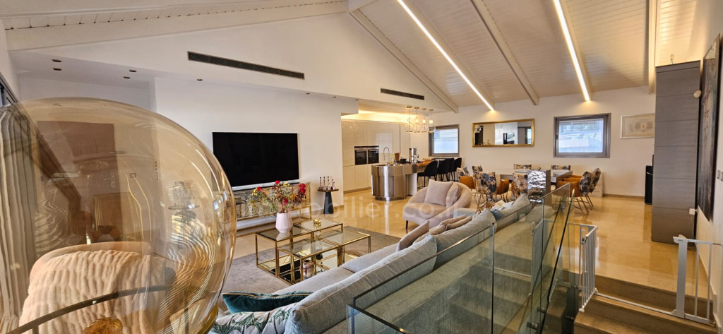 Penthouse Tel Aviv