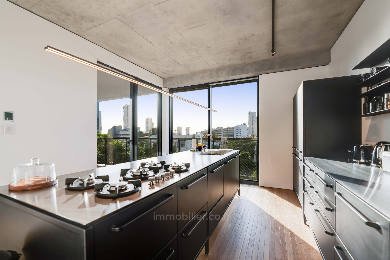 Appartement 4 pièces  Tel Aviv Rothshild 828-IBL-96